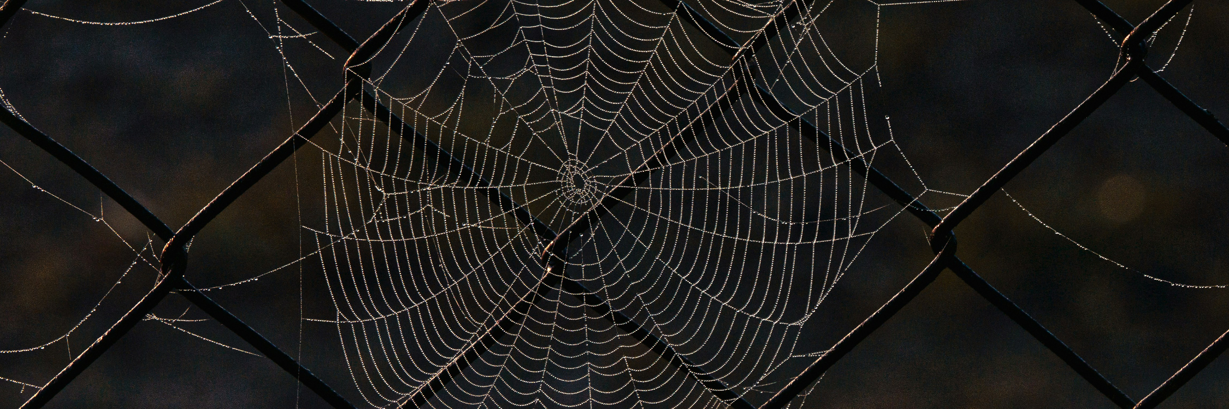 Denkt an die Gefangenen...